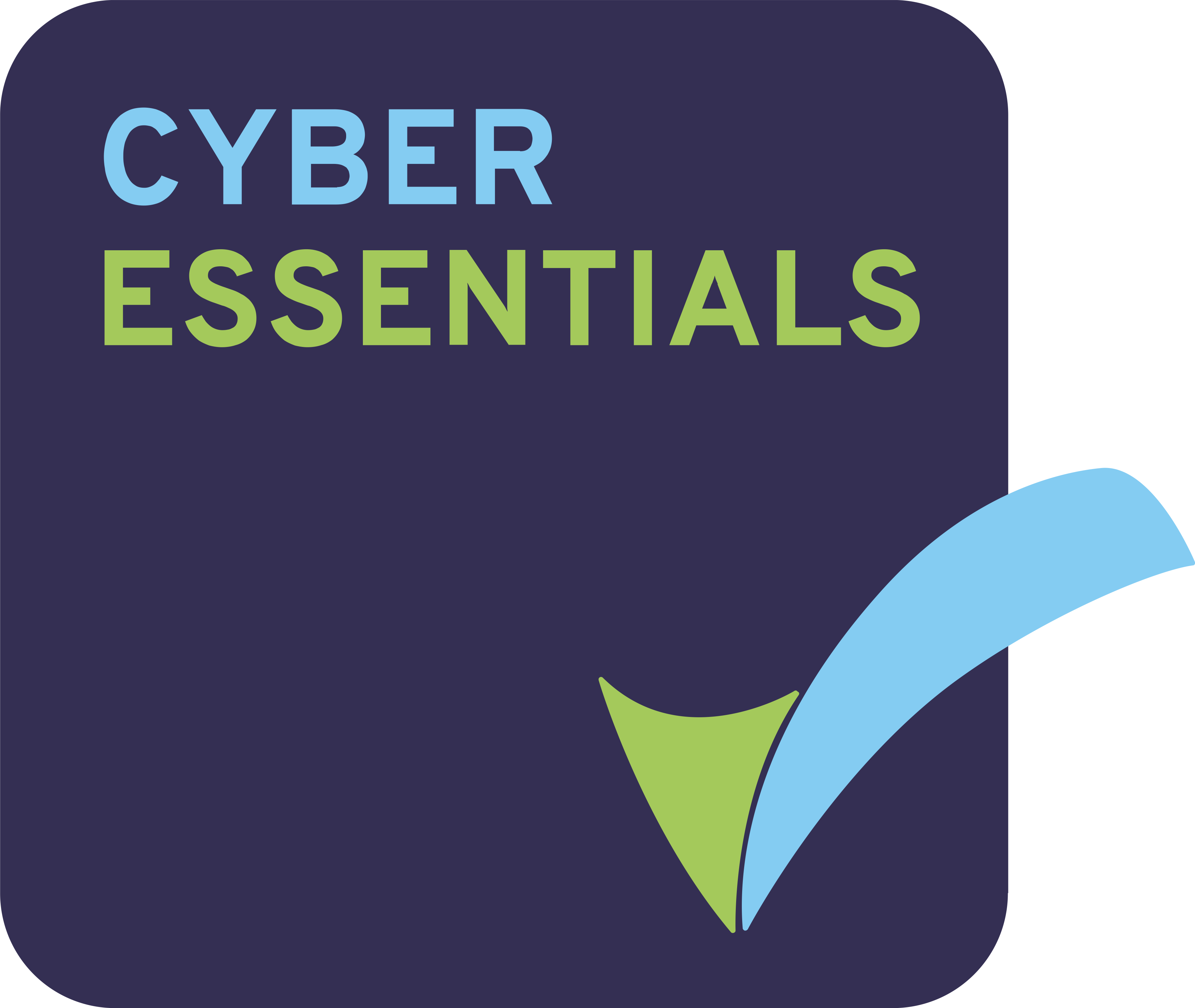 Cyber_Essentials_Badge__High_Res_.png